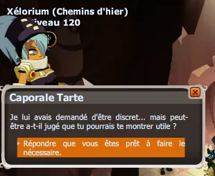 L'armée des 12 dingues