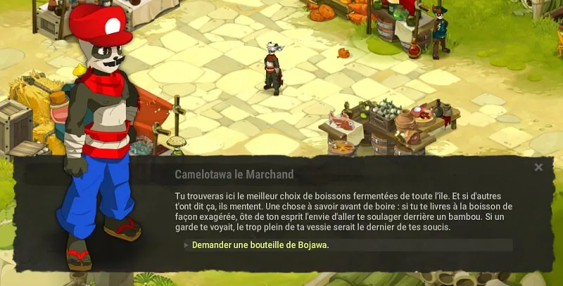 quête Enigma dofus