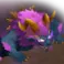 Donjons Gargandyas
