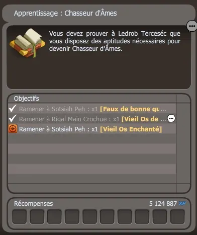 Apprentissage : Chasseur d'Âmes
