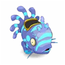Muldo Turquoise et Indigo