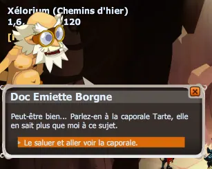 L'armée des 12 dingues dofus