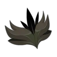panoplie mauvais augure Halouine dofus