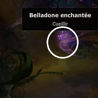 quête Par l'héritage qui vous lie dofus