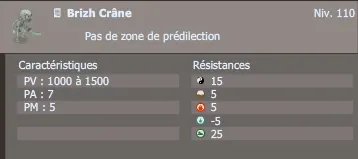 brizh crâne