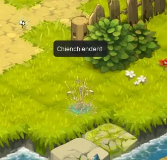 Comment obtenir des jetons Turquoise wakfu