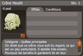 crâne maudit