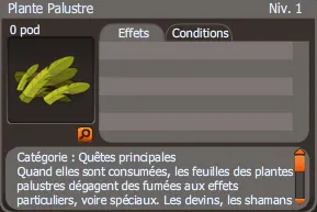 plante palustre