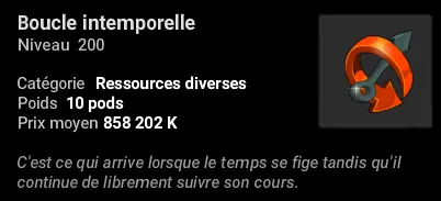 anomalies boucles intemporelles