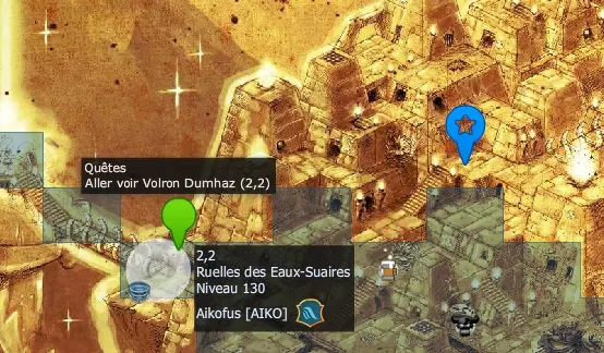 Courir après des ombres