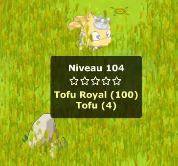 Comment obtenir des jetons Turquoise dofus retro