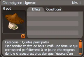 champignon ligneux