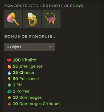 mise à jour 3.1 dofus