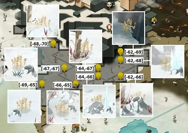 graine de destinée dofus