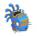 Muldo Azur et Roux