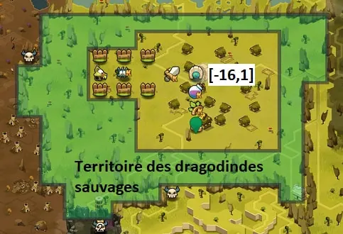 dragodindes sauvages élevage