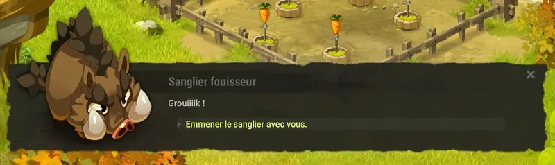 quête Série animalière dofus