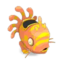 Muldo Corail et Doré