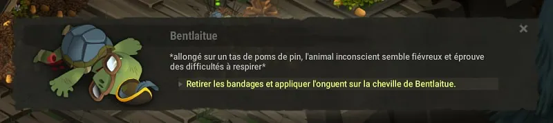 quête Association de fureteurs dofus