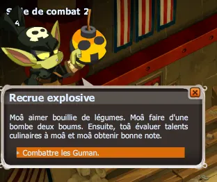 Stage de combat improvisé