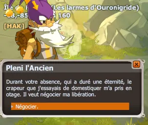 quête Chauffage à moindre frais dofus