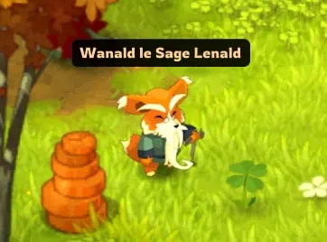Guide de progression Dofus 3.0