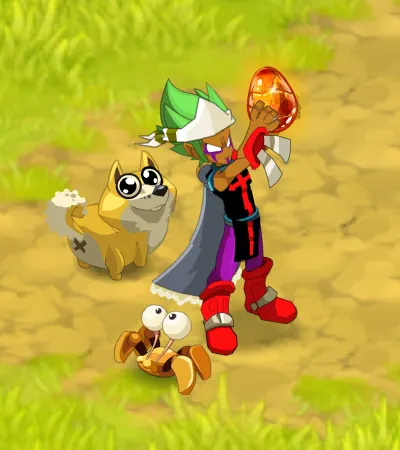attitudes dofus élémentaires