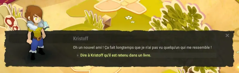 quête La sorcière exilée dofus