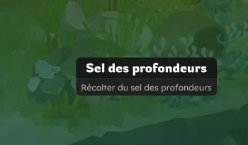 Gouffre du Gigalodon sel des profondeurs