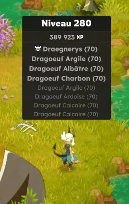 quête C'est radical ici dofus