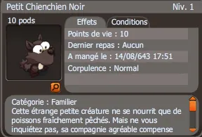 petit chienchien noir