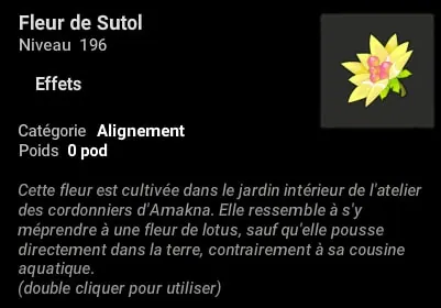 quête Enigma dofus