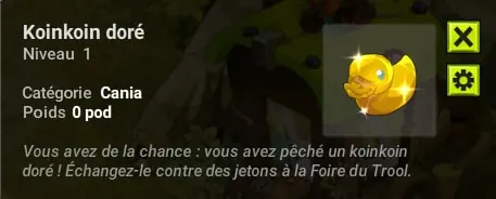 Foire du Trool
