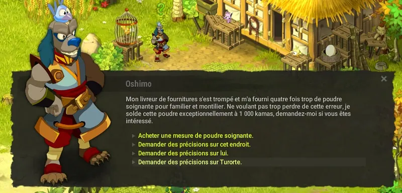 Histoires de tortues