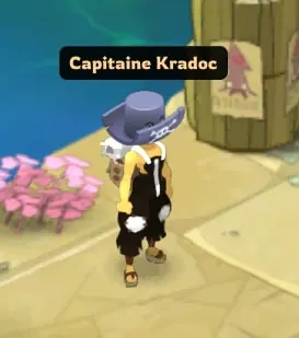 Guide de progression Dofus 3.0 partie 3