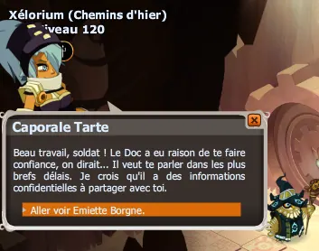 L'armée des 12 dingues