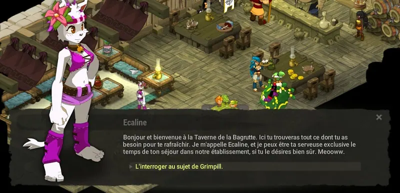 quête dans la gueule du chacha