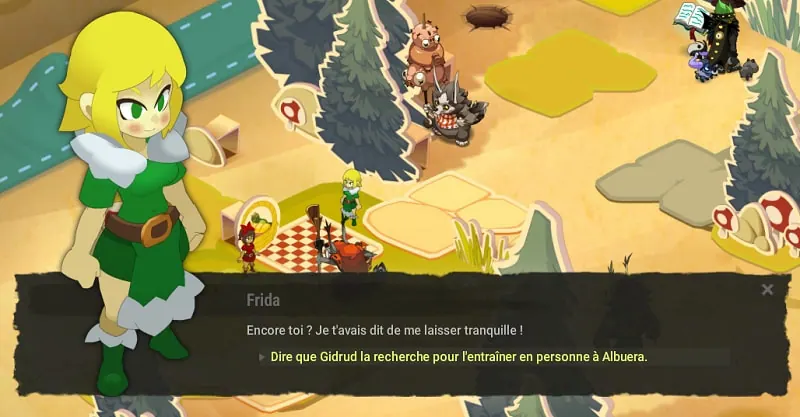 quête La sorcière exilée dofus