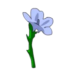 Lin
