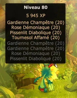 quête Le tour du monde dofus