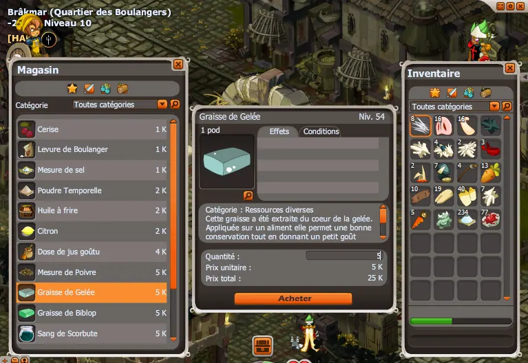Il faut que cha brille Dofus Touch