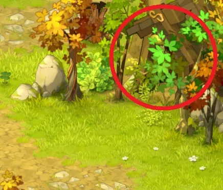 quête Les animaux fantastiques dofus