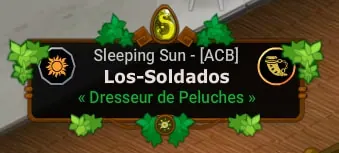 quêtes des 20 ans de Dofus