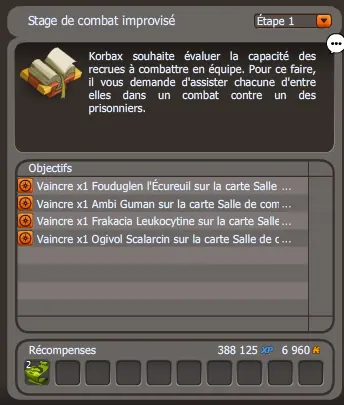 Stage de combat improvisé justiciers