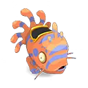 Muldo Corail et Indigo