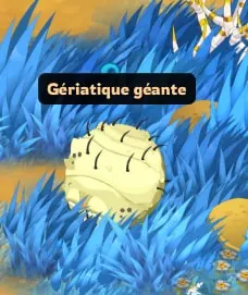 quête Une petite démangeaison
