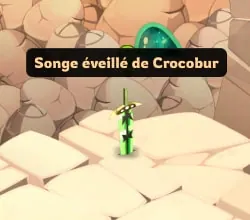 quête Jusqu'au bout du rêve