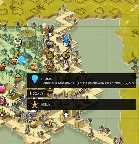 quête Entraînement avec Torche dofus