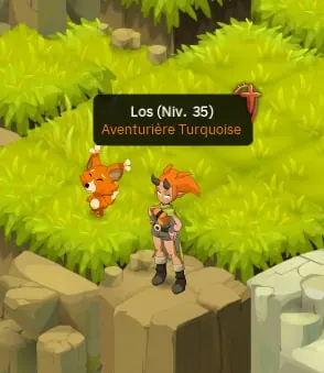 Comment obtenir des jetons Turquoise wakfu