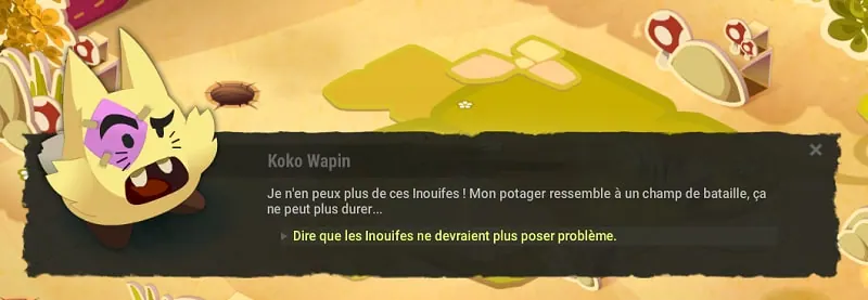 quête La sorcière exilée dofus